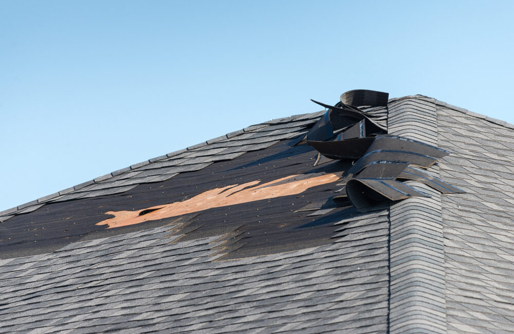 roof shingles damaged by wind