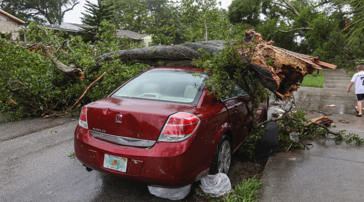 car damaged from tree falling on it