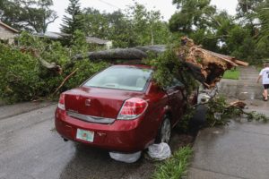 car damaged from tree falling on it