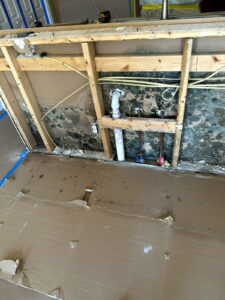 drywall on the back of a sink with mold on it