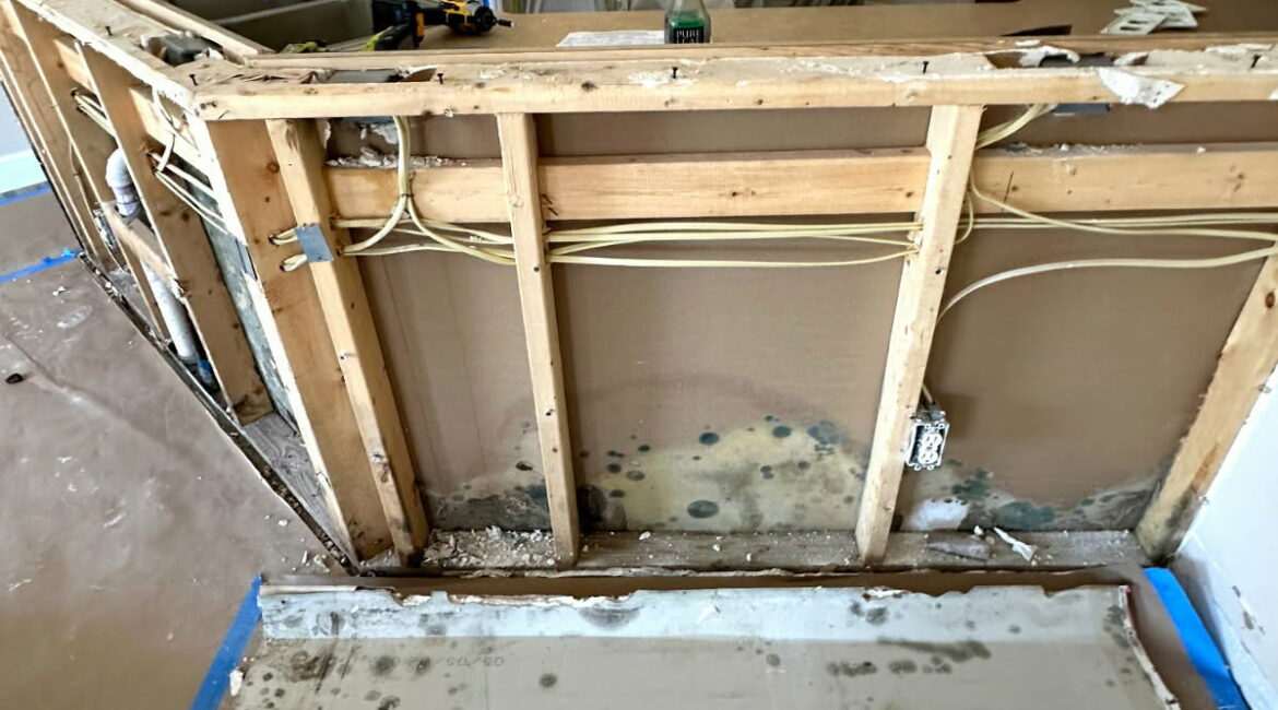drywall with mold