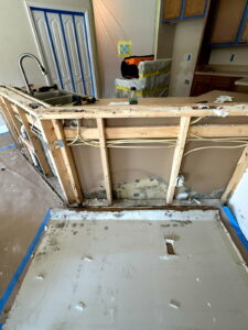 drywall with mold