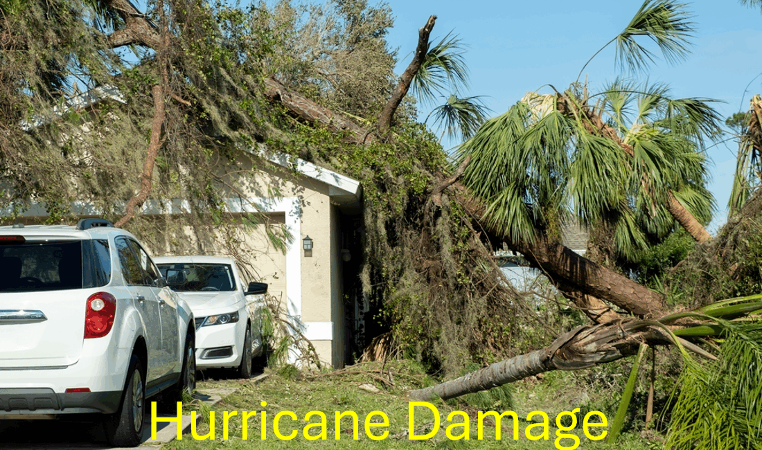 trees fallen on home after hurricane