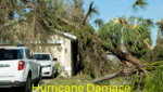 trees fallen on home after hurricane