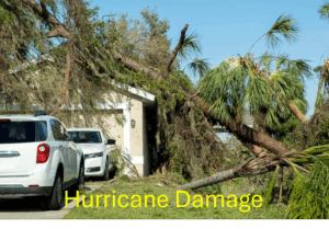 trees fallen on home after hurricane
